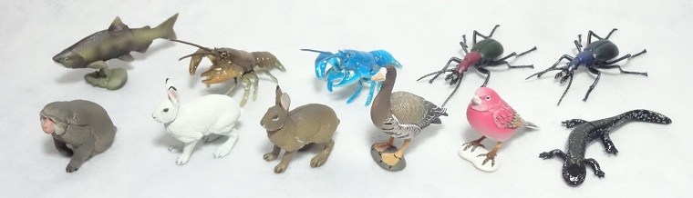 日本の動物コレクション1の集合写真